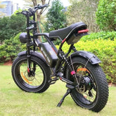 Revolt RV400 Electric Bike with 250W motor and fat tires for all-terrain adventures.